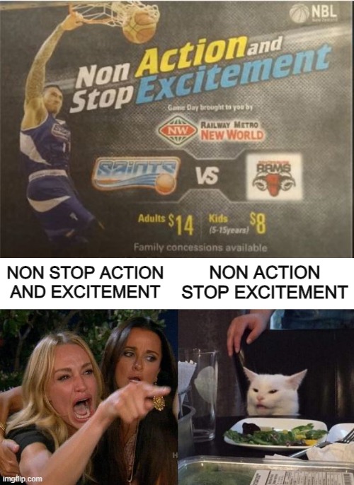 Uncertain Fun | NON ACTION STOP EXCITEMENT; NON STOP ACTION AND EXCITEMENT | image tagged in memes,woman yelling at cat | made w/ Imgflip meme maker