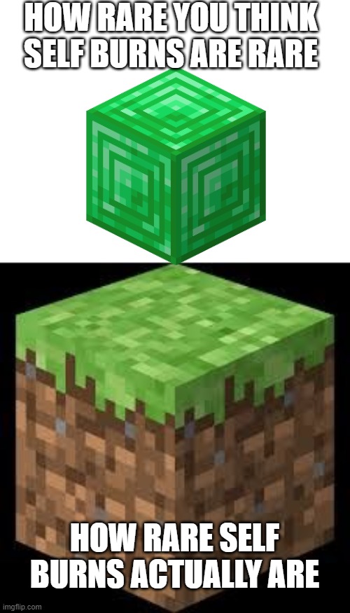 Minecraft Block | HOW RARE YOU THINK SELF BURNS ARE RARE HOW RARE SELF BURNS ACTUALLY ARE | image tagged in minecraft block | made w/ Imgflip meme maker
