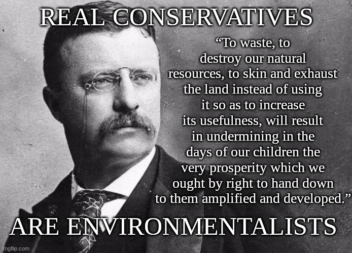 Wise words from a great Republican president | “To waste, to destroy our natural resources, to skin and exhaust the land instead of using it so as to increase its usefulness, will result in undermining in the days of our children the very prosperity which we ought by right to hand down to them amplified and developed.”; REAL CONSERVATIVES; ARE ENVIRONMENTALISTS | image tagged in theodore roosevelt,president,teddy roosevelt,environment,climate change | made w/ Imgflip meme maker