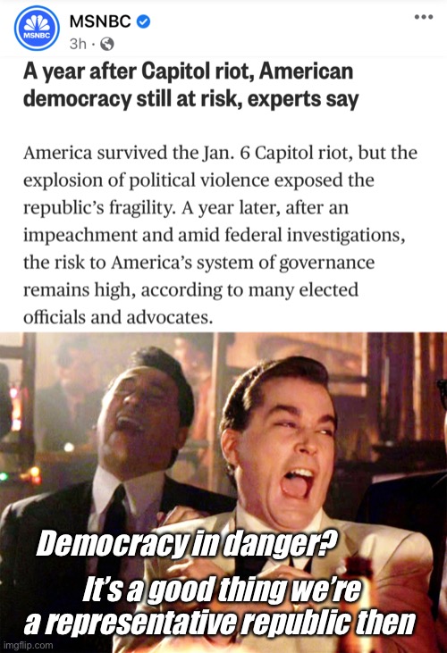Democracy? |  Democracy in danger? It’s a good thing we’re a representative republic then | image tagged in memes,good fellas hilarious,politics lol | made w/ Imgflip meme maker