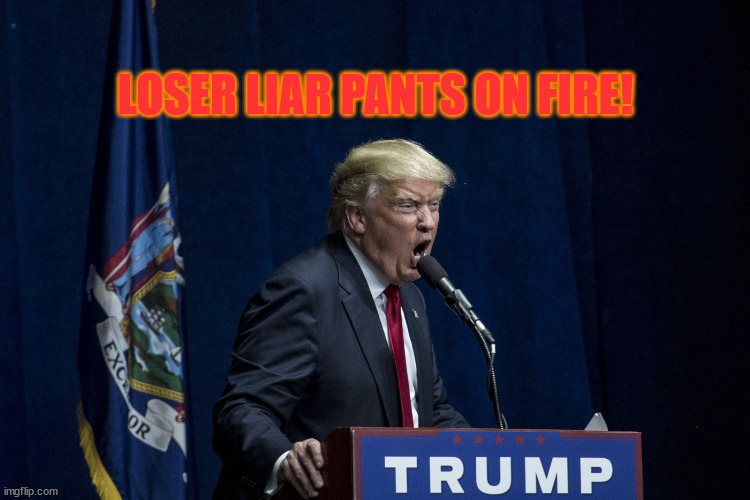 Loser liar pants on fire! | LOSER LIAR PANTS ON FIRE! | image tagged in donald trump,loser,liar,liar liar pants on fire | made w/ Imgflip meme maker