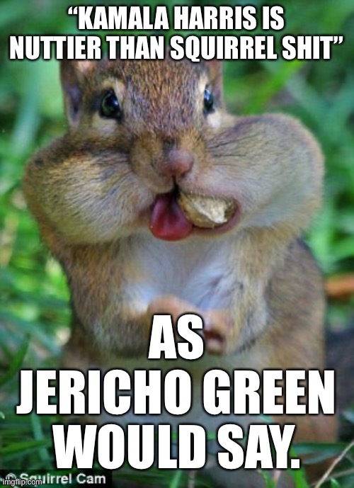 “KAMALA HARRIS IS NUTTIER THAN SQUIRREL SHIT” AS
JERICHO GREEN
WOULD SAY. | image tagged in squirrel nuts | made w/ Imgflip meme maker