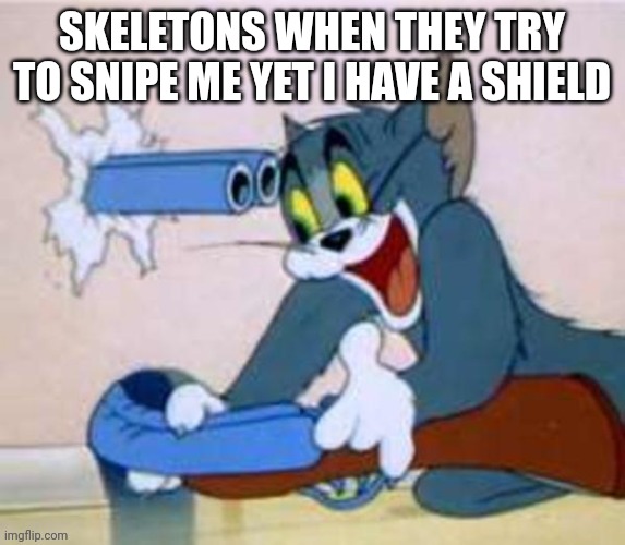 Skeleton Be Sniping | SKELETONS WHEN THEY TRY TO SNIPE ME YET I HAVE A SHIELD | image tagged in why are you reading this,oh wow are you actually reading these tags,why are you reading the tags,stop reading the tags | made w/ Imgflip meme maker