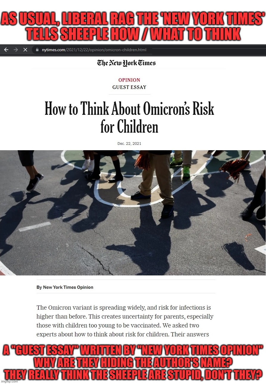 First the liberal media tells us how /  what to think, then they want us to believe that govt has the only solution. Wake up! | AS USUAL, LIBERAL RAG THE 'NEW YORK TIMES'
TELLS SHEEPLE HOW / WHAT TO THINK; A "GUEST ESSAY" WRITTEN BY "NEW YORK TIMES OPINION"
WHY ARE THEY HIDING THE AUTHOR'S NAME?
THEY REALLY THINK THE SHEEPLE ARE STUPID, DON'T THEY? | image tagged in liberal rag,liberal logic,liberal hypocrisy,liberal media,liberal bias | made w/ Imgflip meme maker
