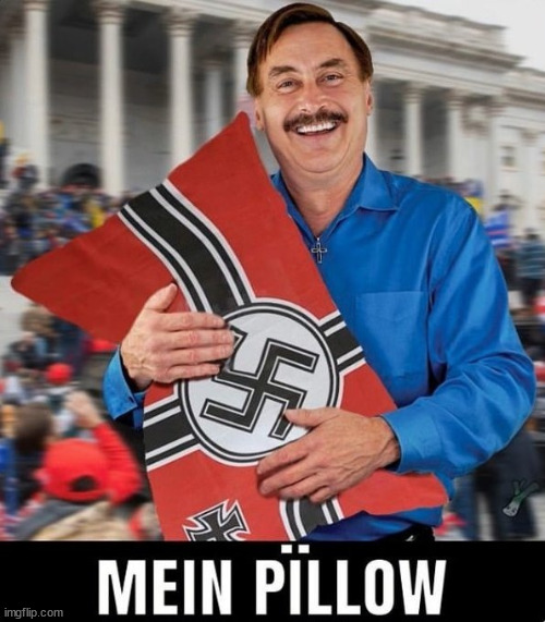 Mein Pillow | image tagged in pillow,donald trump,maga,nazis | made w/ Imgflip meme maker