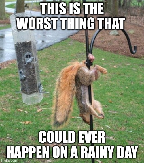 WTF | THIS IS THE WORST THING THAT; COULD EVER HAPPEN ON A RAINY DAY | image tagged in weird,funny meme,lol | made w/ Imgflip meme maker