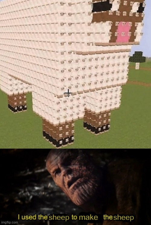 S H E E P | make; sheep; sheep | image tagged in i used the stones to destroy the stones,minecraft,sheep,beutiful | made w/ Imgflip meme maker