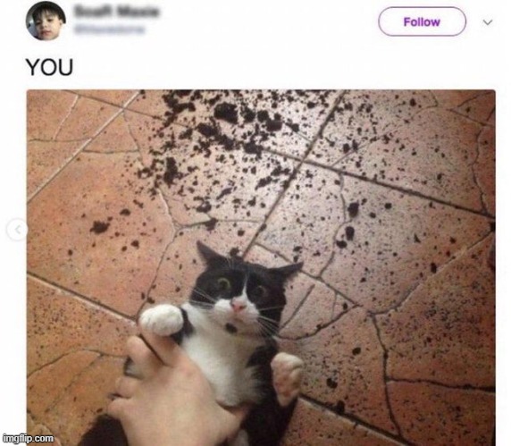 YOU | made w/ Imgflip meme maker