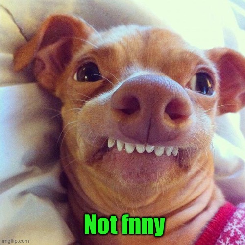 PHTEVEN | Not fnny | image tagged in phteven | made w/ Imgflip meme maker
