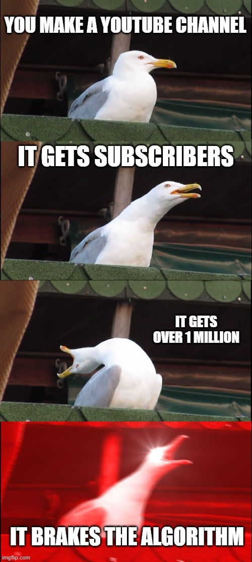 Inhaling Seagull Meme |  YOU MAKE A YOUTUBE CHANNEL; IT GETS SUBSCRIBERS; IT GETS OVER 1 MILLION; IT BRAKES THE ALGORITHM | image tagged in memes,inhaling seagull | made w/ Imgflip meme maker