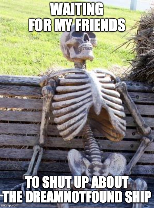 i don't even know why it's popular | WAITING FOR MY FRIENDS; TO SHUT UP ABOUT THE DREAMNOTFOUND SHIP | image tagged in memes,waiting skeleton | made w/ Imgflip meme maker