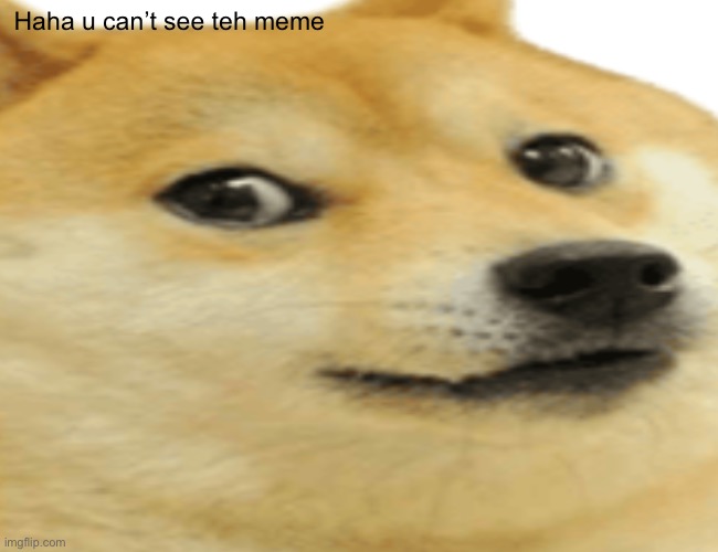 haha yes | Haha u can’t see teh meme | image tagged in buff doge vs cheems | made w/ Imgflip meme maker