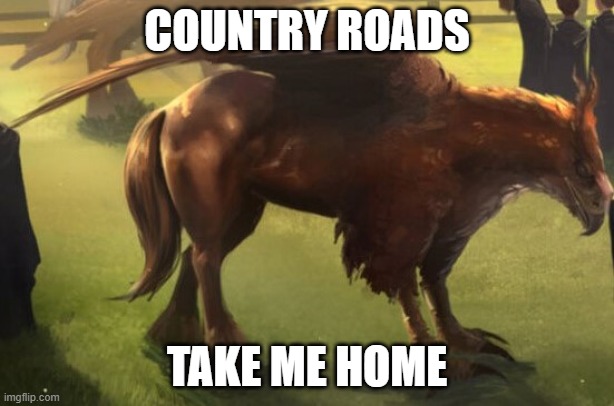 Hippogriff 2 | COUNTRY ROADS; TAKE ME HOME | image tagged in hippogriff 2 | made w/ Imgflip meme maker