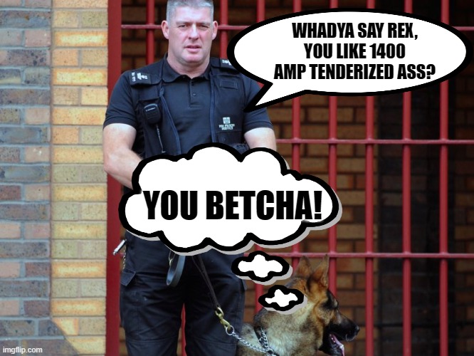 prison guard | WHADYA SAY REX, YOU LIKE 1400 AMP TENDERIZED ASS? YOU BETCHA! | image tagged in prison guard | made w/ Imgflip meme maker