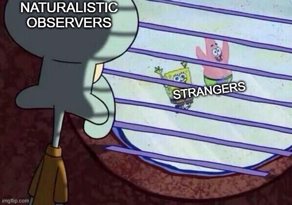 Psych Research memes | NATURALISTIC OBSERVERS; STRANGERS | image tagged in squidward window | made w/ Imgflip meme maker