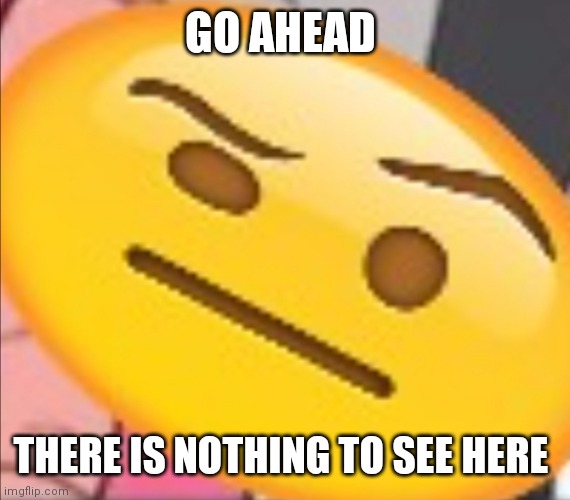 GO AHEAD; THERE IS NOTHING TO SEE HERE | made w/ Imgflip meme maker