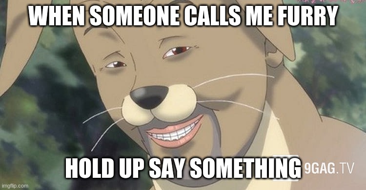 Weird anime hentai furry | WHEN SOMEONE CALLS ME FURRY; HOLD UP SAY SOMETHING | image tagged in weird anime hentai furry | made w/ Imgflip meme maker