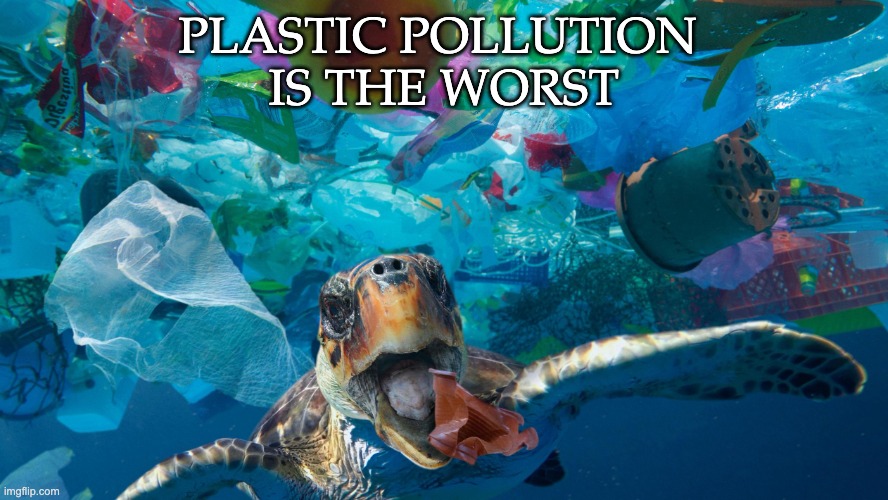 Quit it, land animals! |  PLASTIC POLLUTION 
IS THE WORST | image tagged in turtle eating plastic,pollution,plastic,ocean | made w/ Imgflip meme maker