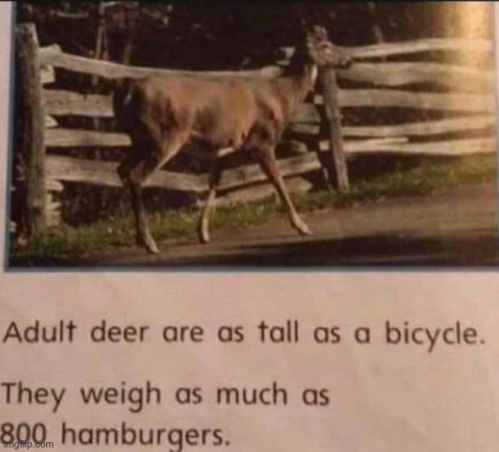 This will probably be used in a lot of memes to diss Americans | image tagged in adult deer are as tall as a bicycle | made w/ Imgflip meme maker