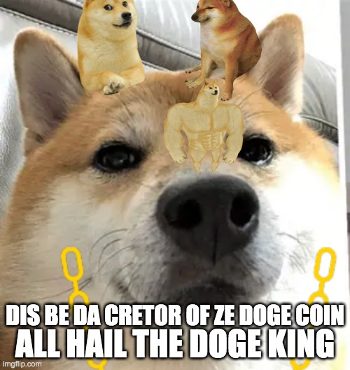 all hail te doge king | ALL HAIL THE DOGE KING; DIS BE DA CRETOR OF ZE DOGE COIN | image tagged in doge,doge coin | made w/ Imgflip meme maker