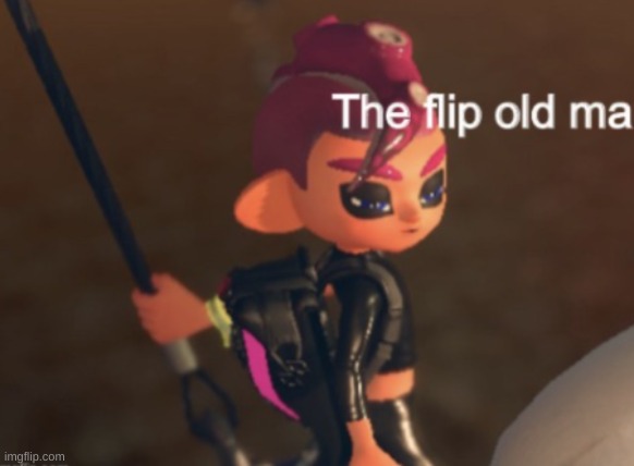 The flip old man splatoon 2 octo expansion | image tagged in the flip old man splatoon 2 octo expansion | made w/ Imgflip meme maker