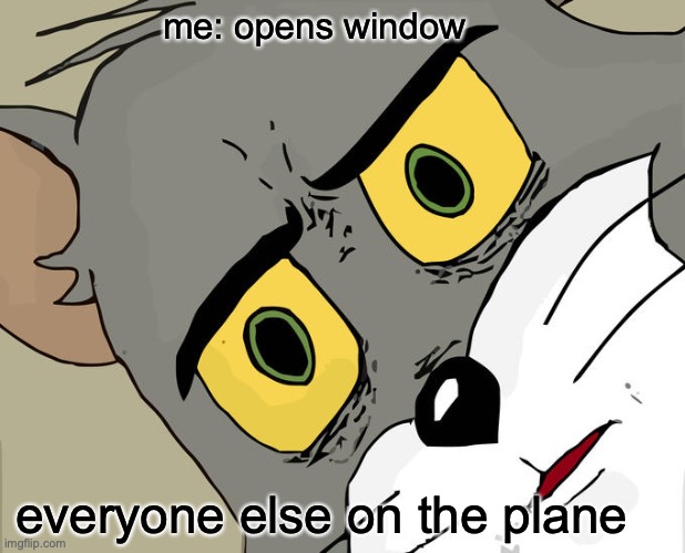 Unsettled Tom Meme | me: opens window everyone else on the plane | image tagged in memes,unsettled tom | made w/ Imgflip meme maker