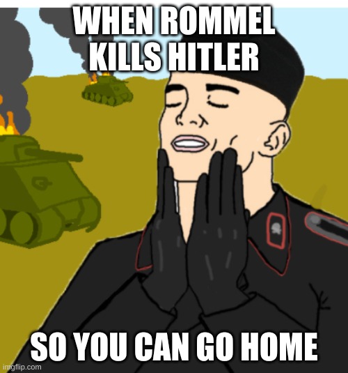 feels good panzer man me cuz why not | WHEN ROMMEL KILLS HITLER; SO YOU CAN GO HOME | image tagged in alternate history,ww2,panzer,ww2memes | made w/ Imgflip meme maker
