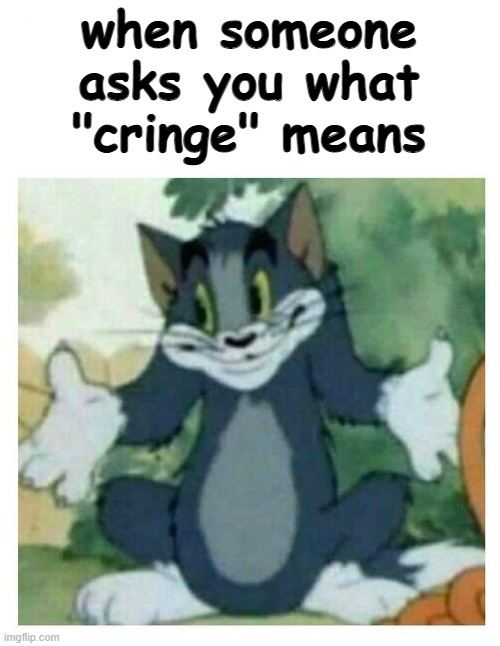 IDK Tom Template | when someone asks you what "cringe" means | image tagged in idk tom template,dies from cringe,oh no cringe,infinity cringe | made w/ Imgflip meme maker