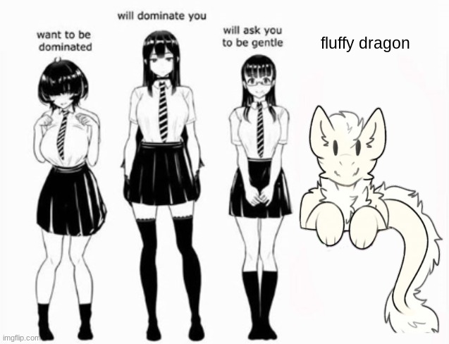 fluffy dragon | made w/ Imgflip meme maker