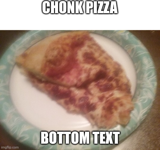 Middle text anyone? | CHONK PIZZA; BOTTOM TEXT | image tagged in pizza,chonk,3rd tag because why not | made w/ Imgflip meme maker