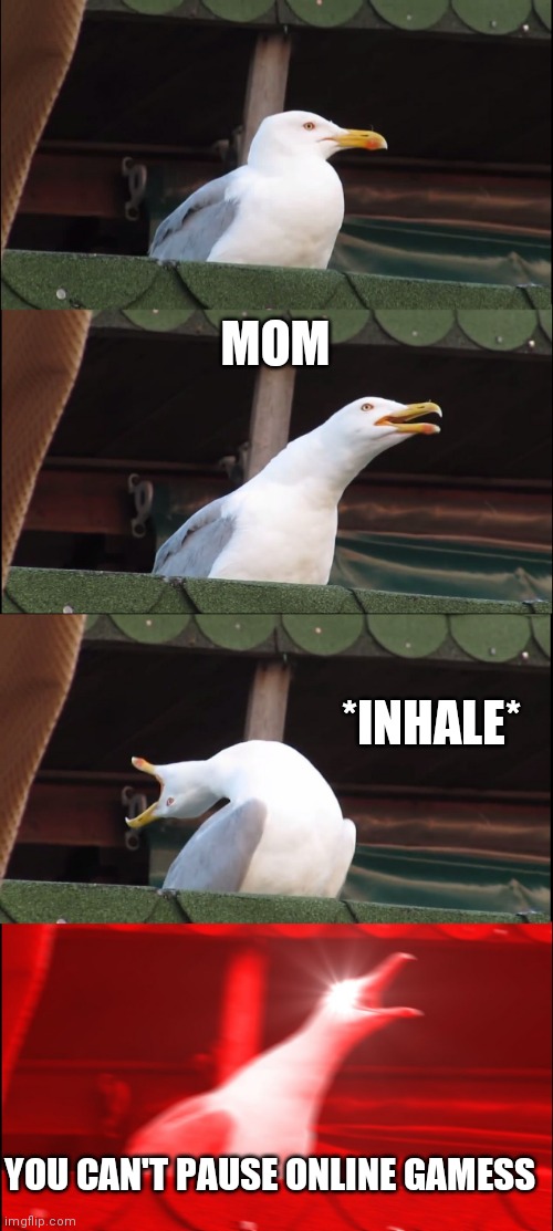 Inhaling Seagull | MOM; *INHALE*; YOU CAN'T PAUSE ONLINE GAMESS | image tagged in memes,inhaling seagull | made w/ Imgflip meme maker
