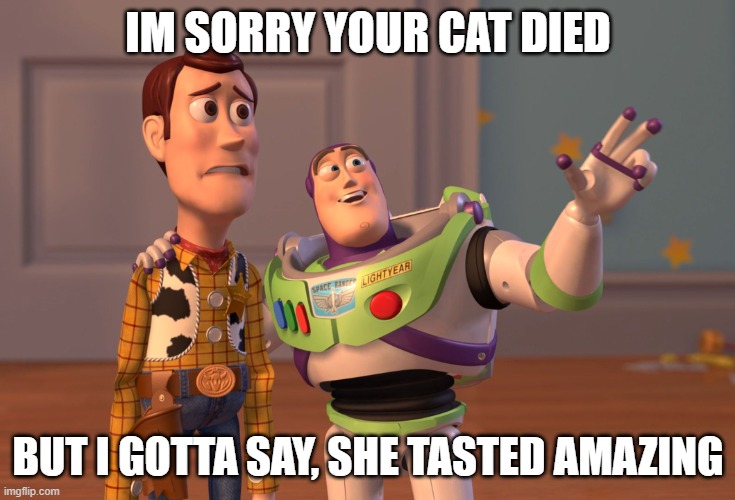 yummi |  IM SORRY YOUR CAT DIED; BUT I GOTTA SAY, SHE TASTED AMAZING | image tagged in memes,x x everywhere | made w/ Imgflip meme maker