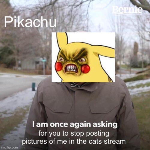 Pikachu sez | Pikachu; for you to stop posting pictures of me in the cats stream | image tagged in memes,bernie i am once again asking for your support,serious,pikachu | made w/ Imgflip meme maker