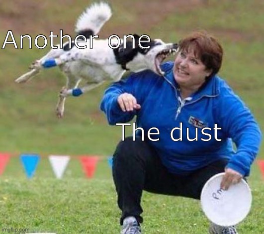  Another one; The dust | image tagged in another one bites the dust,memes,funny,stop reading the tags,im warning you,you have been eternally cursed for reading the tags | made w/ Imgflip meme maker