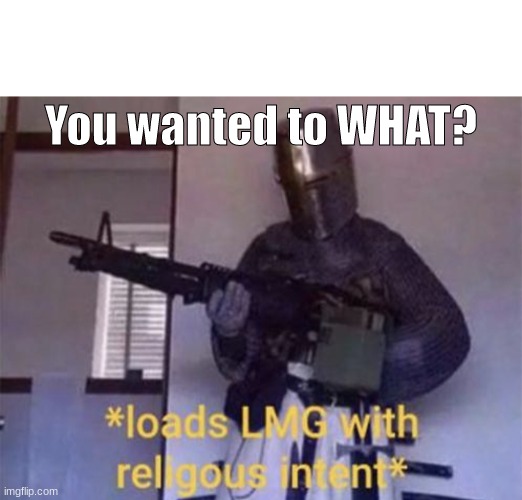 You wanted to WHAT? | image tagged in loads lmg with religious intent | made w/ Imgflip meme maker