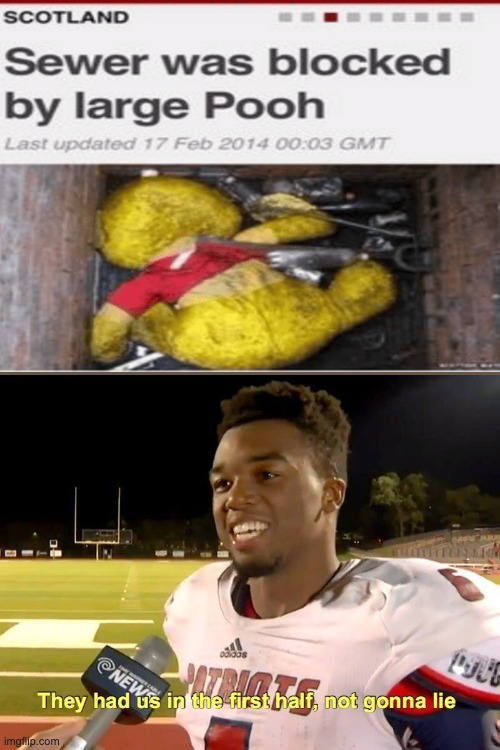 Large pooh | image tagged in they had us in the first half | made w/ Imgflip meme maker