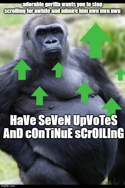 in case you couldn't tell, this is just to make fun of the ppl who do this to get upvotes and views. | adorable gorilla wants you to stop scrolling for awhile and admire him uwu uwu uwu; HaVe SeVeN UpVoTeS AnD cOnTiNuE sCrOlLInG | image tagged in joke | made w/ Imgflip meme maker