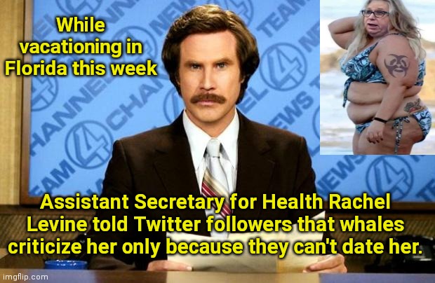 Moo over, AOC | While vacationing in Florida this week; Assistant Secretary for Health Rachel Levine told Twitter followers that whales criticize her only because they can't date her. | image tagged in breaking news,crazy aoc,rachel levine,well he's a guy so,political humor | made w/ Imgflip meme maker