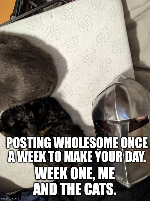 POSTING WHOLESOME ONCE A WEEK TO MAKE YOUR DAY. WEEK ONE, ME AND THE CATS. | made w/ Imgflip meme maker