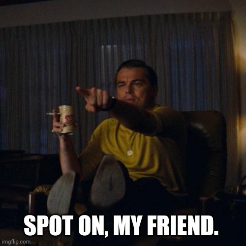 Leonardo spotting on TV | SPOT ON, MY FRIEND. | image tagged in leonardo spotting on tv | made w/ Imgflip meme maker