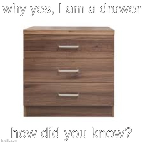 Why yes, I am a furniture used to store objects. | why yes, I am a drawer; how did you know? | image tagged in memes | made w/ Imgflip meme maker