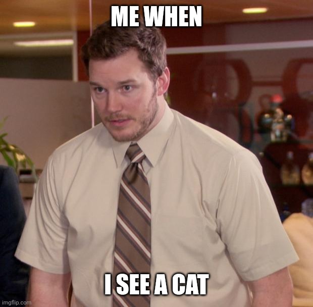 Afraid To Ask Andy | ME WHEN; I SEE A CAT | image tagged in memes,afraid to ask andy | made w/ Imgflip meme maker