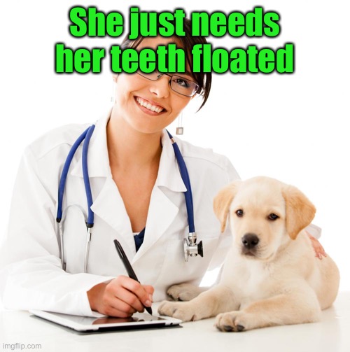 Veterinarian | She just needs her teeth floated | image tagged in veterinarian | made w/ Imgflip meme maker