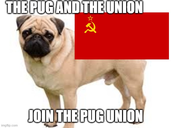 Sorry if this is bad | THE PUG AND THE UNION; JOIN THE PUG UNION | made w/ Imgflip meme maker