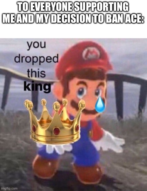 Chads | TO EVERYONE SUPPORTING ME AND MY DECISION TO BAN ACE: | image tagged in mario you dropped this king | made w/ Imgflip meme maker