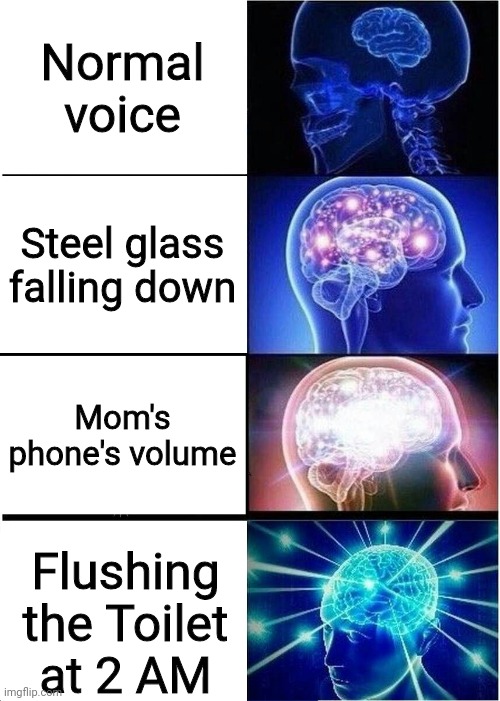 We need soundproof toilets | Normal voice; Steel glass falling down; Mom's phone's volume; Flushing the Toilet at 2 AM | image tagged in memes,expanding brain | made w/ Imgflip meme maker