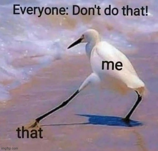 Dont do THAT like that it's not cool | image tagged in memes,that | made w/ Imgflip meme maker