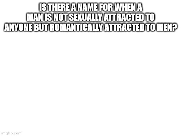 Blank White Template | IS THERE A NAME FOR WHEN A MAN IS NOT SEXUALLY ATTRACTED TO ANYONE BUT ROMANTICALLY ATTRACTED TO MEN? | image tagged in blank white template | made w/ Imgflip meme maker