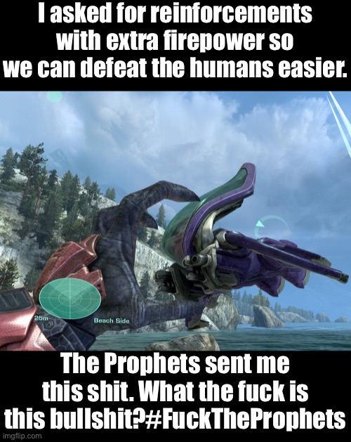 They sent that dollar store banshee (it’s a Banshee I managed to glitch out in Forge in MCC) | I asked for reinforcements with extra firepower so we can defeat the humans easier. The Prophets sent me this shit. What the fuck is this bullshit?#FuckTheProphets | made w/ Imgflip meme maker