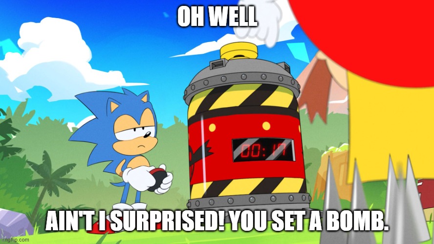 Sonic and Eggman | OH WELL; AIN'T I SURPRISED! YOU SET A BOMB. | image tagged in sonic and eggman | made w/ Imgflip meme maker